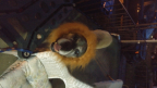 Gunnermk11's Avatar
